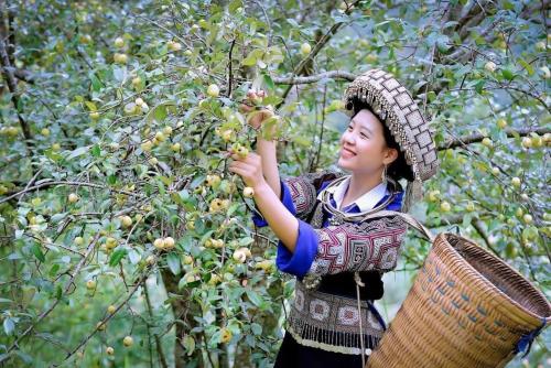HOA SƠN TRA HOTEL in Mu Cang Chai