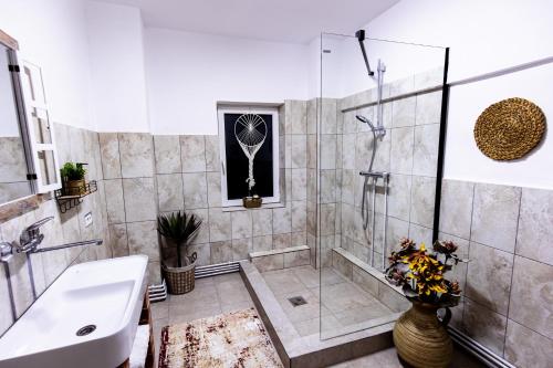 Shower, Pensiunea LoreBeka in Viscri