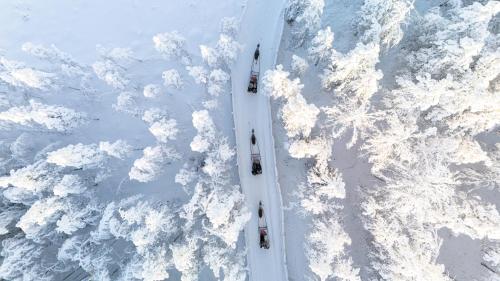 Attractions, Raitola Reindeer and Husky Farm- Panorama Lodges in Apukka