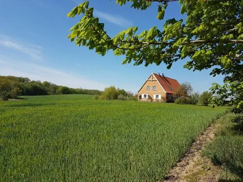 Ferienwohnung Kranichblick in Hoppenrade, Deutschland
