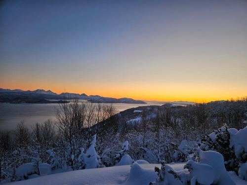 Apartment on the beautiful island of Senja in 瑟雷薩