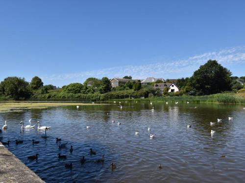 Iekārtas, 2 Bed in Cosheston oc-fb059 in Cosheston