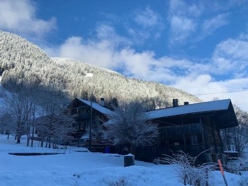 Swiss Mountain Chalet in Saxeten