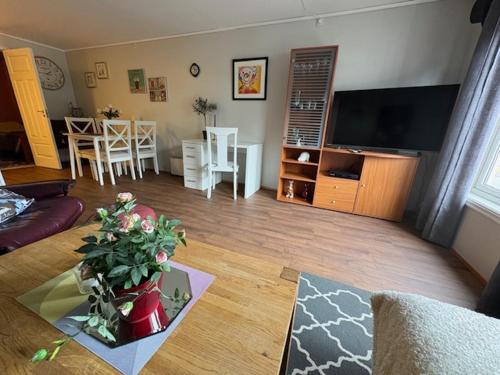 ห้องส่วนกลางสำหรับนั่งเล่น/ดูทีวี, Cozy apartment near city center and nature in คริสเตียนซุนด์