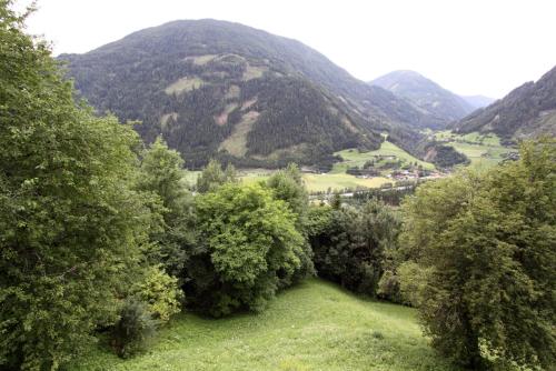Plattnerhof - image 8