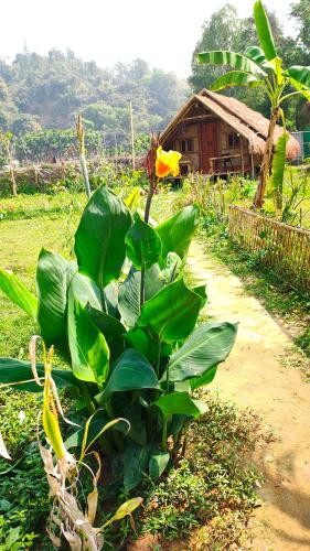 Sky Eco Resort in Dhoapalong
