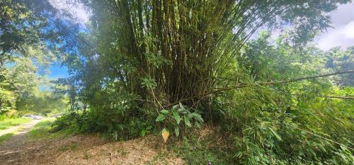 Mycircle in Marigot