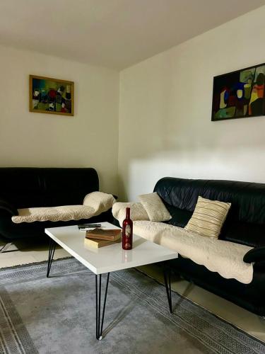 Central apartment 3 in Гнилане