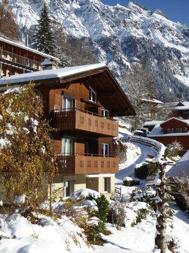 Chalet Gerbera - image 2