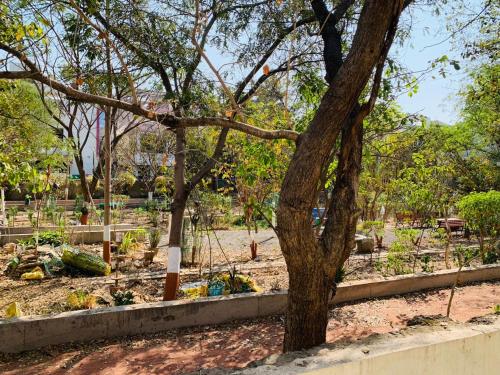 Exclusive Single Occupancy Room in Peaceful Residential Setting photo 5