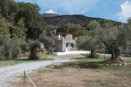 Country House Pantotina Kaloxylos Naxos in Chalkio