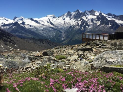 Chalet Alpentraum - image 10