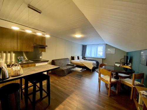 Studio Apartment Göschenen in Göschenen, Schweiz