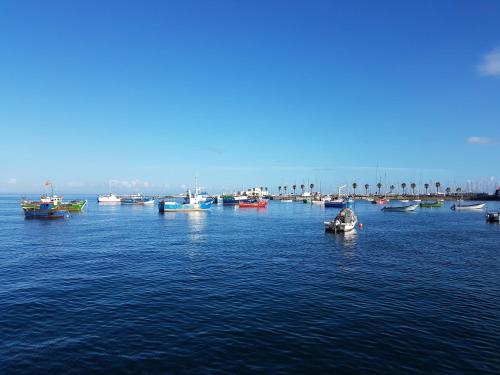 PN48 brith apartment over Cascais roof 120m2 close from beach and restaurant - image 5