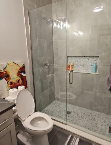 Renovated 3 Bedroom Chicago Downtown Pilsen - image 3