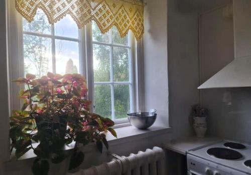 Nice and cosy flat