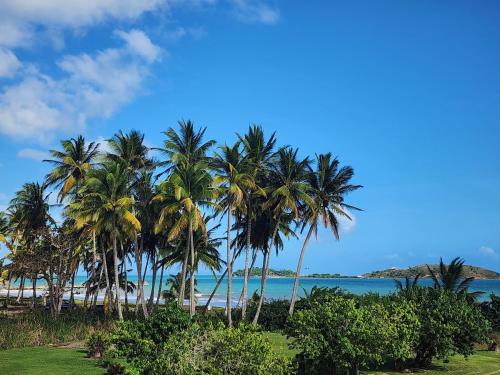 Costa Azul Apartment in Humacao