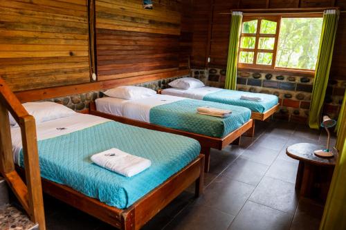 Coati Lodge Misahualli in Puerto Misahualli