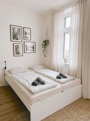 Studio VR12 - Apartment - Brno