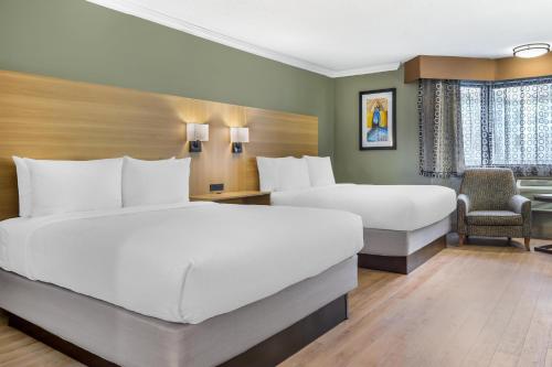 Best Western Plus Ottawa City Centre Room Type - Queen Room with Two Queen Beds - Non-Smoking
