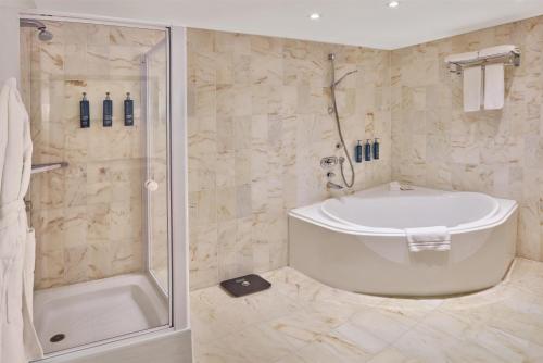 Hilton Antwerp Old Town, Antverpy (fotografie 3)