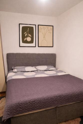 Ali app, Travnik