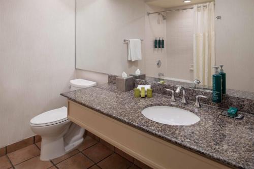 DoubleTree by Hilton Sonoma - Wine Country Room Type - King Room