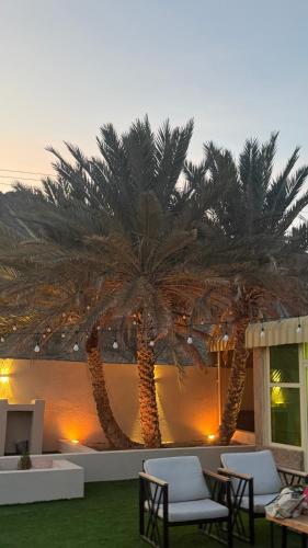 مزرعه صفير in Hatta