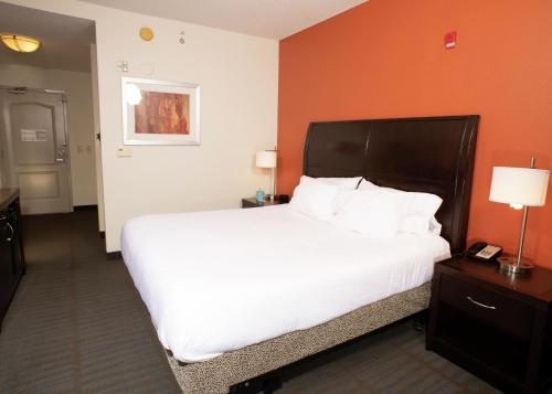 Hilton Garden Inn Springfield IL - image 18