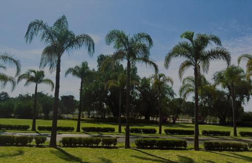 Glamping Lagoon in 特拉斯卡拉