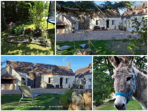 Gîte charmant à 30 min d'Amboise gîte à louer Morand