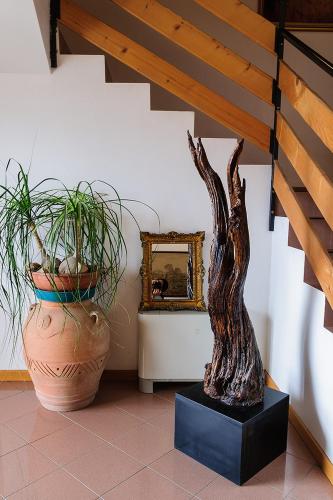 Agriturismo Villa Serena in Vigonovo (Padua)