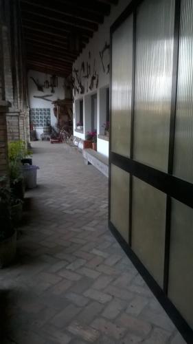 Agriturismo Villa Serena - image 7
