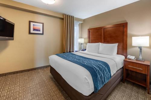 Comfort Inn & Suites Ventura Beach Room Type - Queen Suite with Two Queen Beds - Non-Smoking