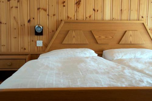 Carina - Design&Lifestyle hotel, Zermatt (photo 3)