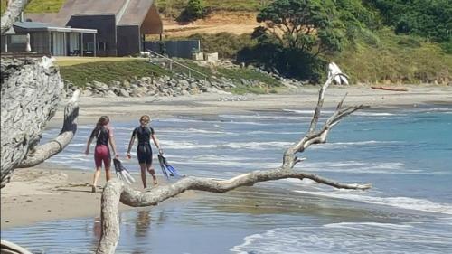 Apkārtne, Kiwi bach at a secluded Northland East Coast beach in Taiharuru