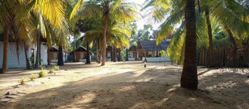 Wind Lagoon Kalpitiya in Kalpitiya