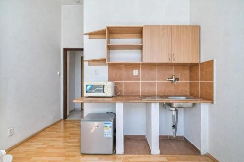 Dusan Apartments in Orlova