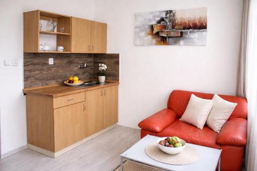 Dusan Apartments in Orlova