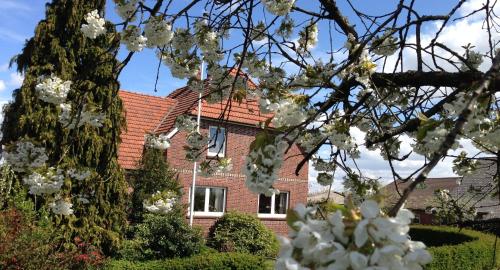 Ferienwohnung Gosch am Luhedeich in 格呂嫩代