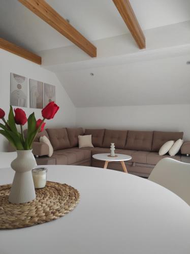 Viesnīcas āriene, Apartman Kestenovac in Orašac