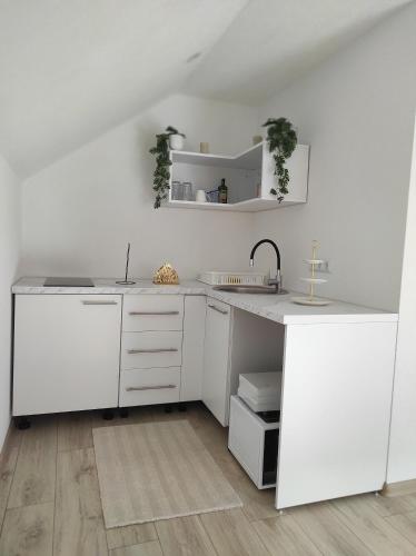 Apartman Kestenovac in Orašac