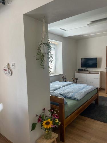 Apartmá se zahrádkou (Apartma se zahradkou) in นาซาฟร์กี