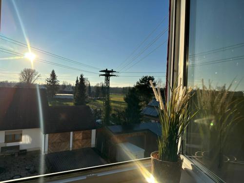 Grüne Oase stadtnah mit Balkon (Grune Oase stadtnah mit Balkon) in 伊萊爾蒂森