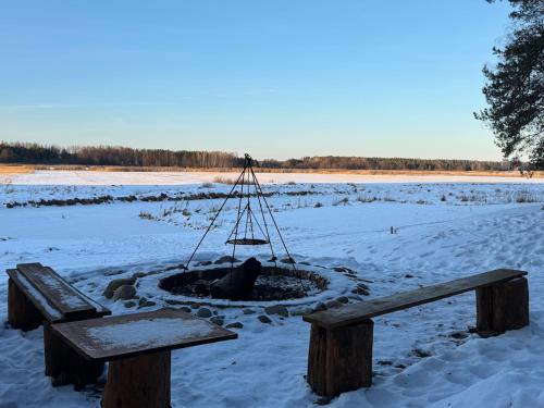 Dārzs, Domki nad rzeką Narew (Domki nad rzeka Narew) in Klewinowo