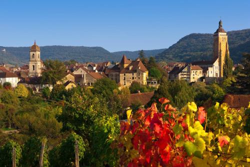 Suite familiale "Le Logis des Ptits Lynx" in Levernoisa