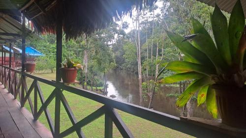 酒店周边, Iquitos View Lodge Expeditions in 印地安那