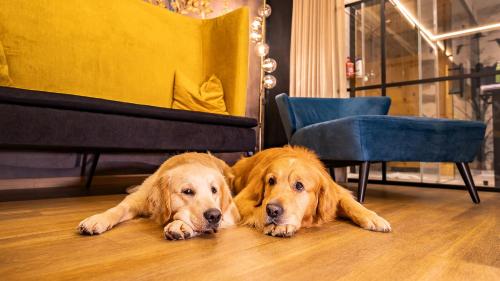 Hotel Magdalena im Zillertal - Urlaub mit Hund – Ried im Zillertal, IL