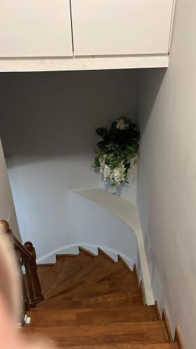 The Nook Apart - image 2