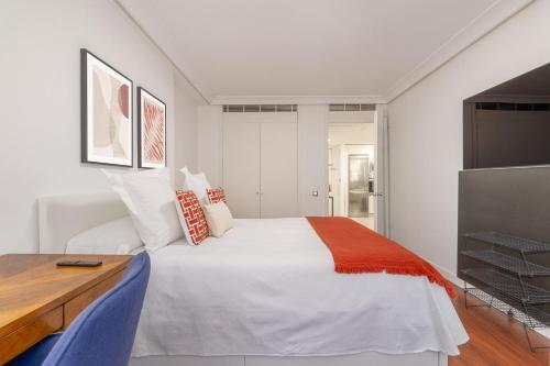 Stylish and Bright Flat in Salamanca District - image 2